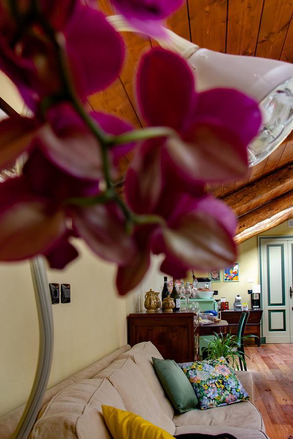 Bed and Breakfast Ca D'I. Magliano Alfieri Exteriér fotografie